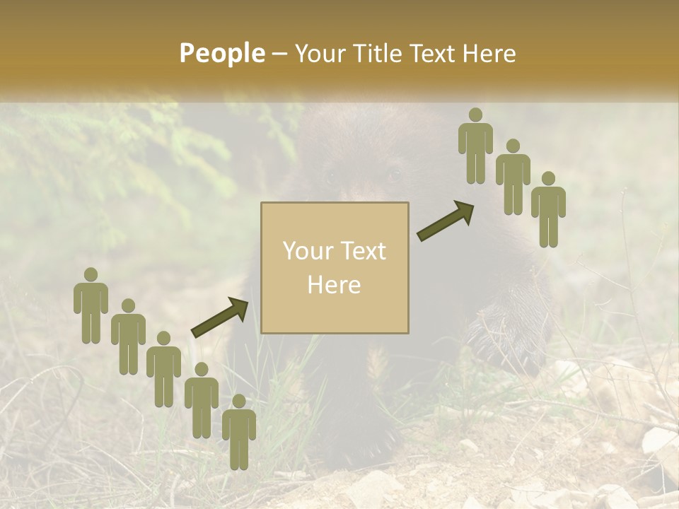 Older Sunrise White PowerPoint Template