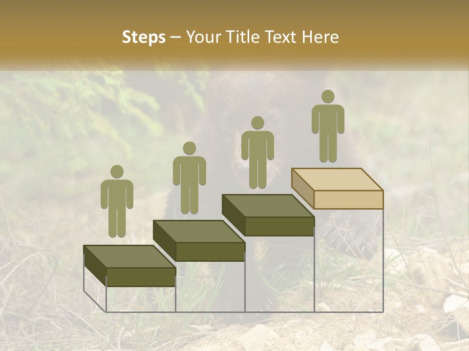 Older Sunrise White PowerPoint Template