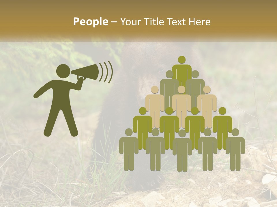 Older Sunrise White PowerPoint Template