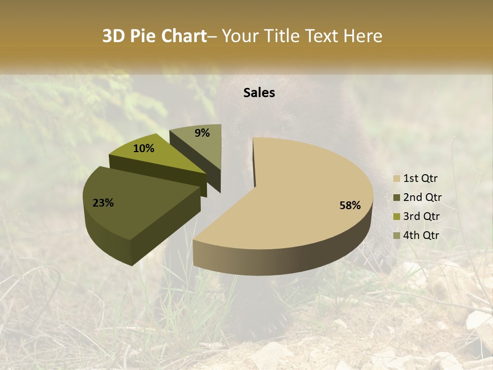 Older Sunrise White PowerPoint Template