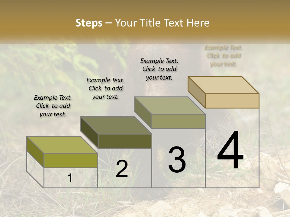 Older Sunrise White PowerPoint Template
