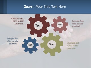 Life Retired Sunrise PowerPoint Template