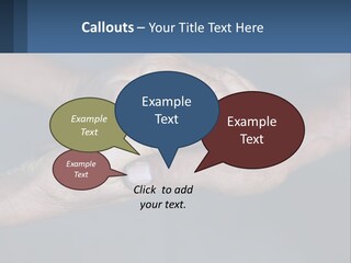 Life Retired Sunrise PowerPoint Template