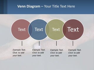 Life Retired Sunrise PowerPoint Template