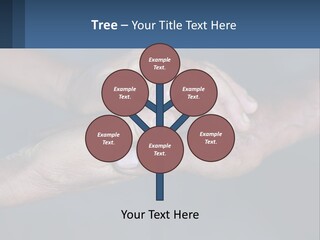 Life Retired Sunrise PowerPoint Template