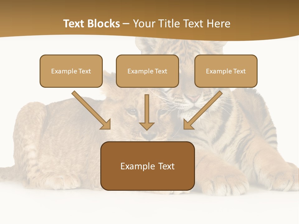 Beach Sunrise Sad PowerPoint Template
