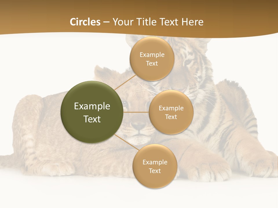 Beach Sunrise Sad PowerPoint Template