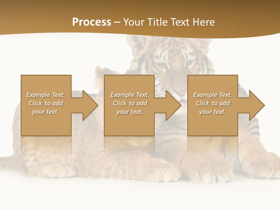 Beach Sunrise Sad PowerPoint Template