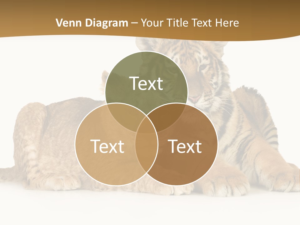 Beach Sunrise Sad PowerPoint Template