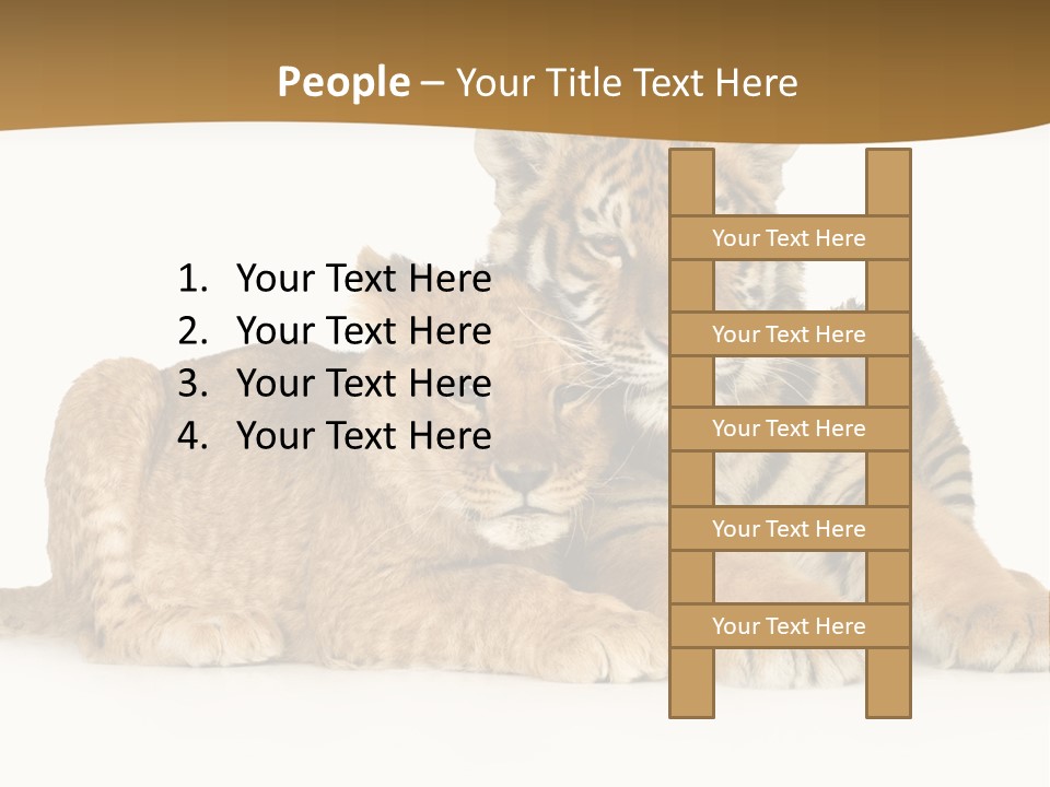 Beach Sunrise Sad PowerPoint Template