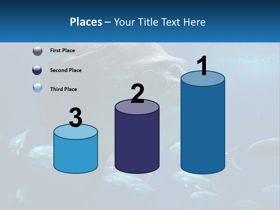 Ocean Portrait Water PowerPoint Template