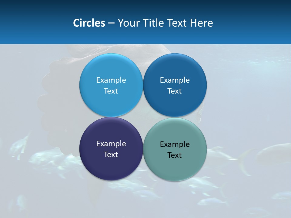 Ocean Portrait Water PowerPoint Template