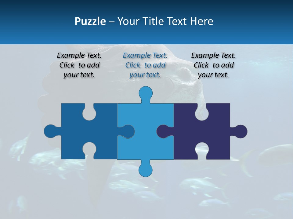 Ocean Portrait Water PowerPoint Template