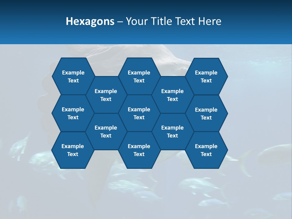 Ocean Portrait Water PowerPoint Template