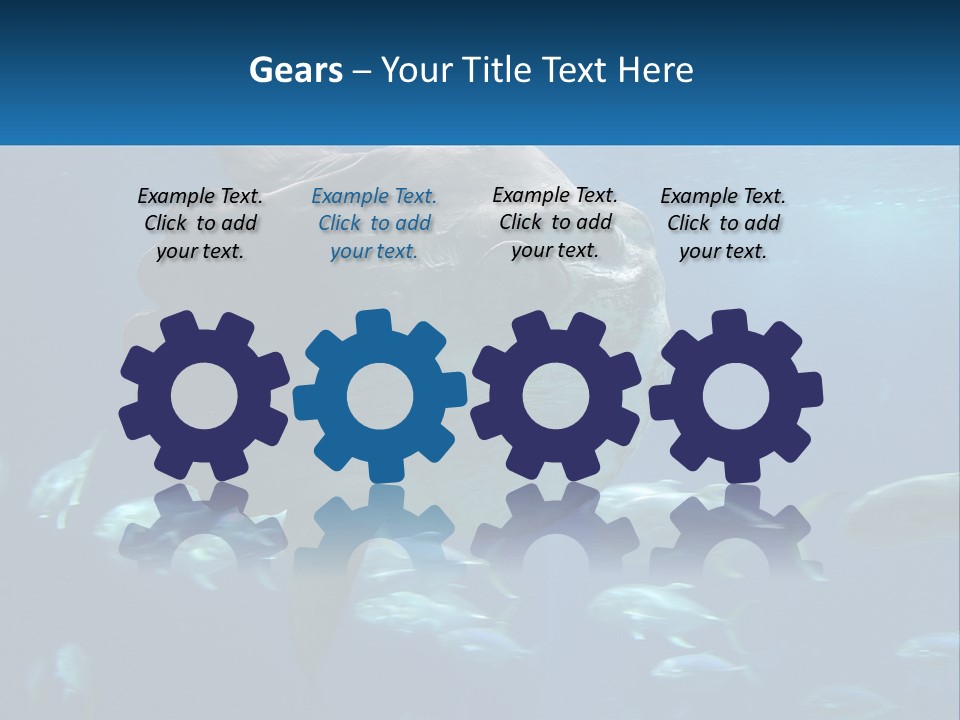 Ocean Portrait Water PowerPoint Template