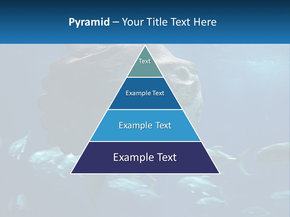 Ocean Portrait Water PowerPoint Template