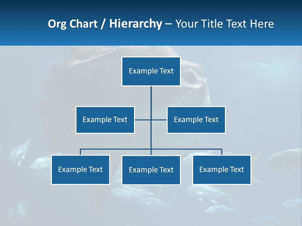 Ocean Portrait Water PowerPoint Template