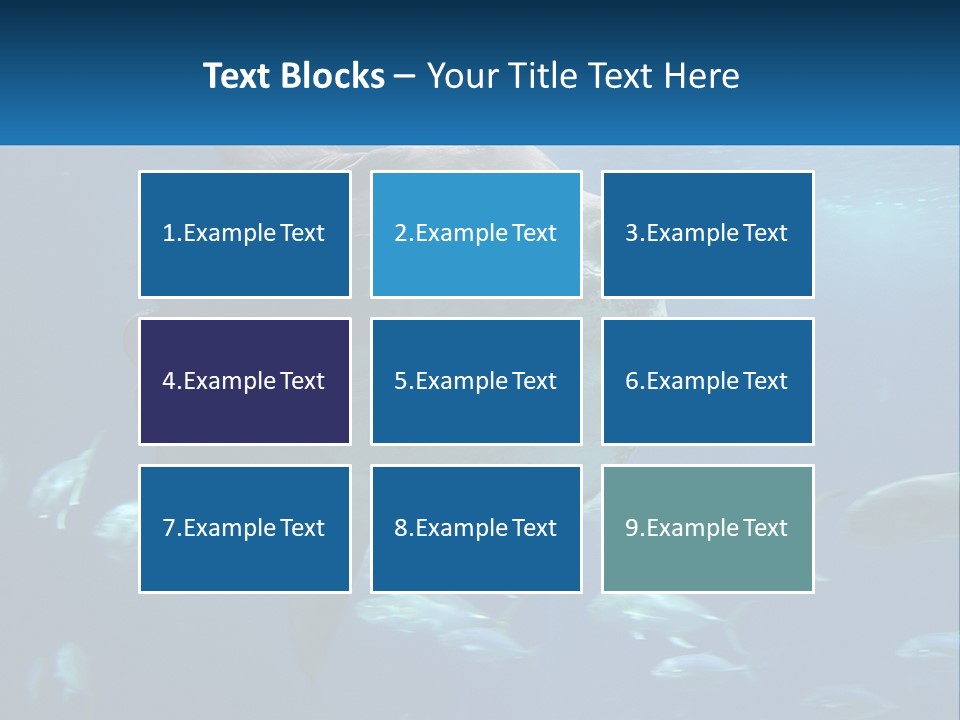 Ocean Portrait Water PowerPoint Template