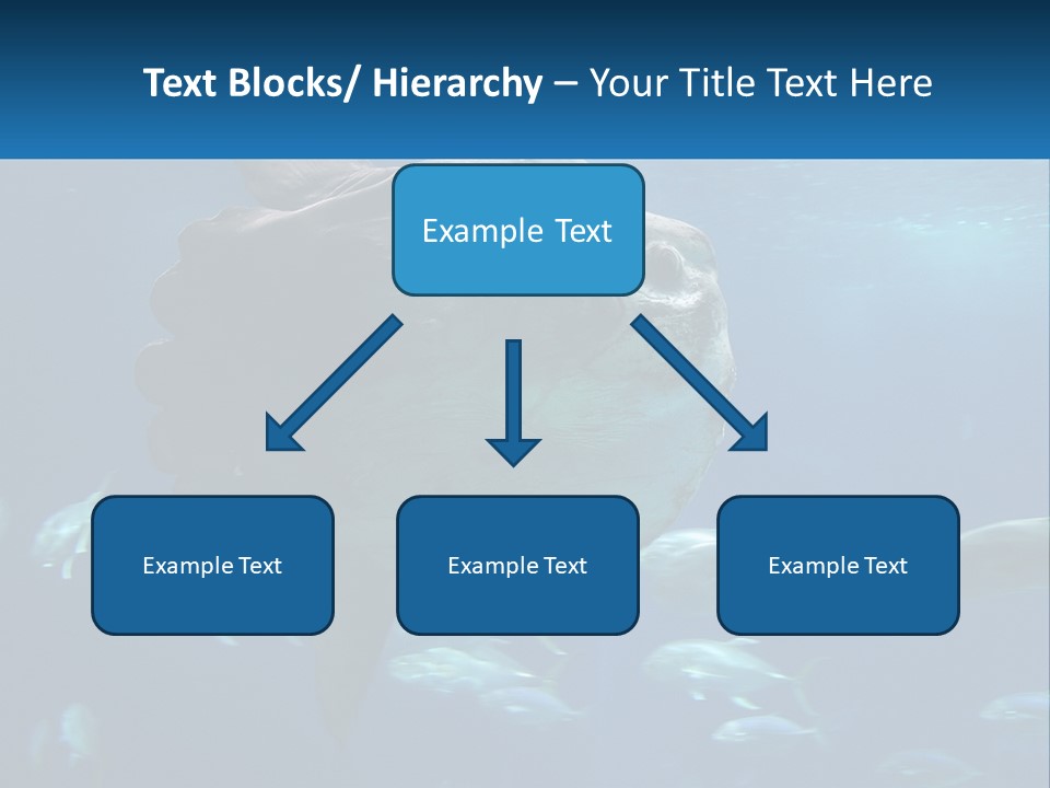 Ocean Portrait Water PowerPoint Template