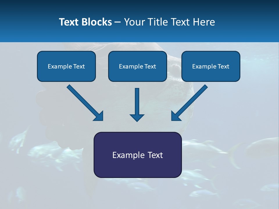 Ocean Portrait Water PowerPoint Template
