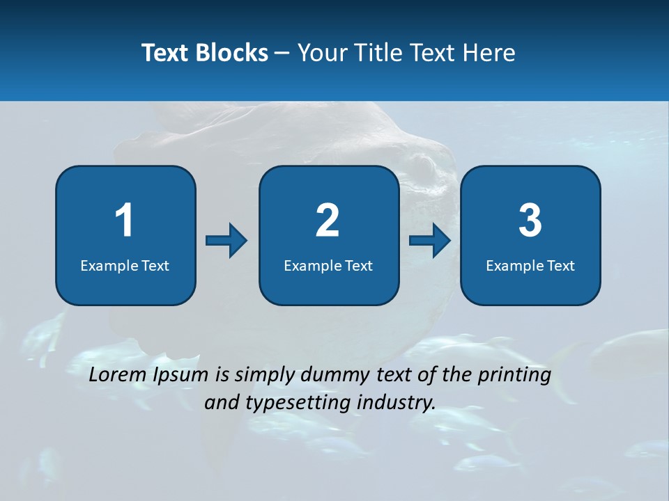 Ocean Portrait Water PowerPoint Template