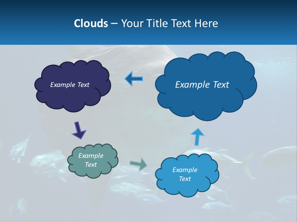 Ocean Portrait Water PowerPoint Template