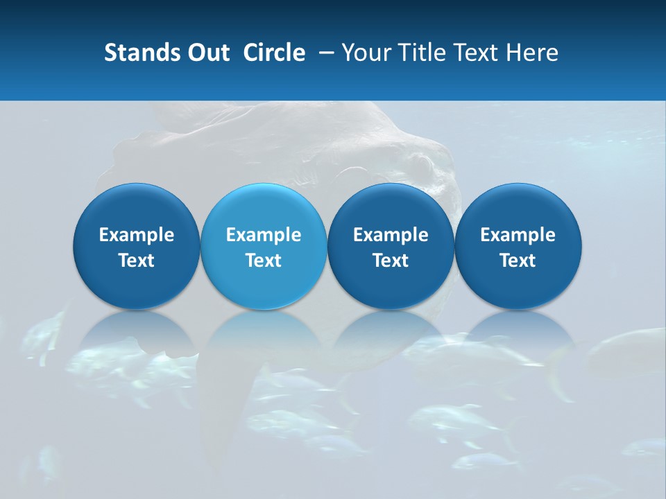 Ocean Portrait Water PowerPoint Template