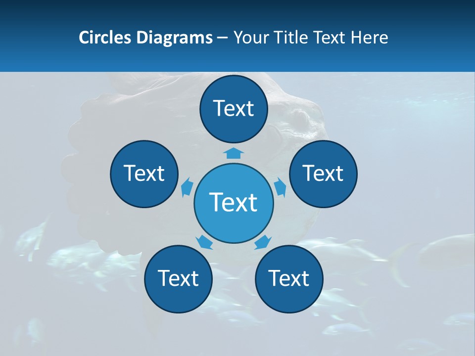 Ocean Portrait Water PowerPoint Template