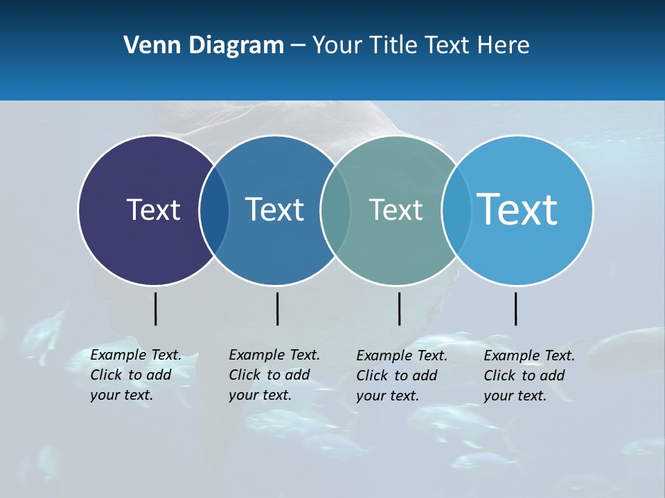 Ocean Portrait Water PowerPoint Template