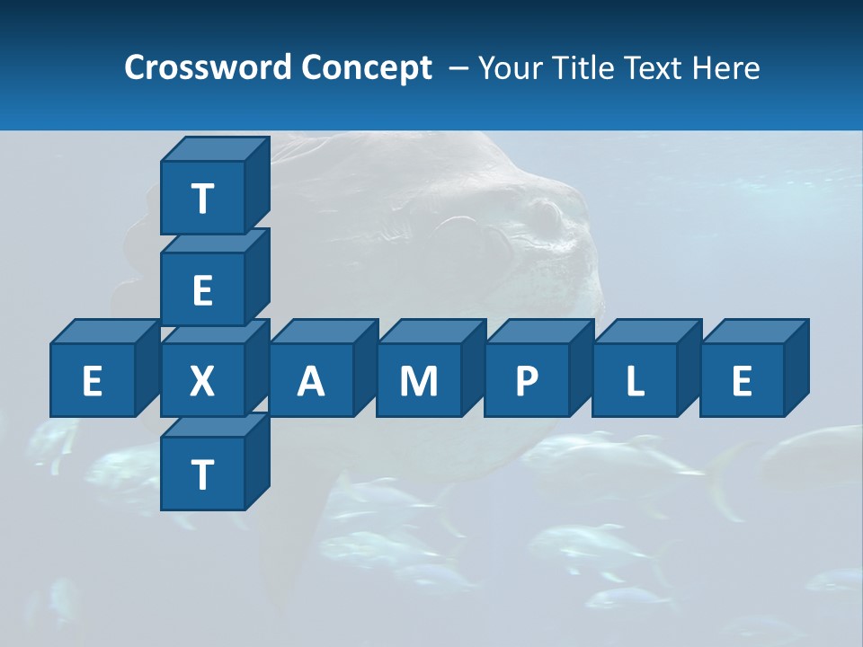 Ocean Portrait Water PowerPoint Template