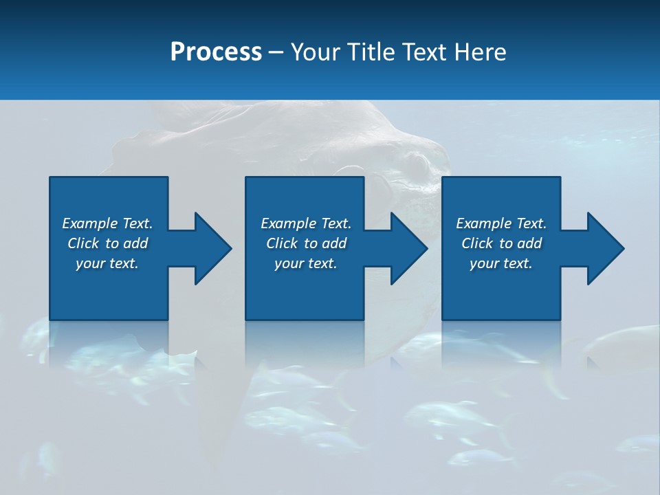 Ocean Portrait Water PowerPoint Template