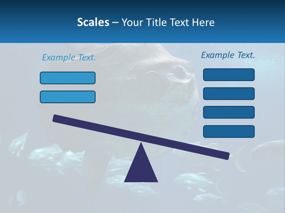 Ocean Portrait Water PowerPoint Template