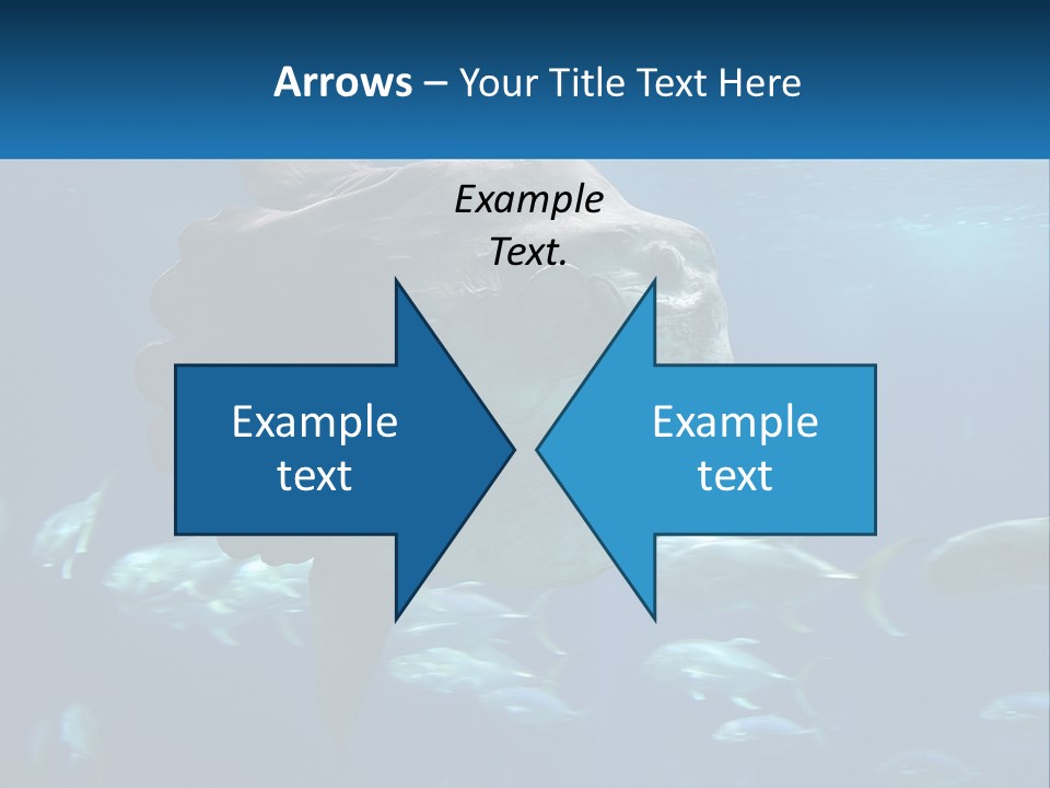 Ocean Portrait Water PowerPoint Template