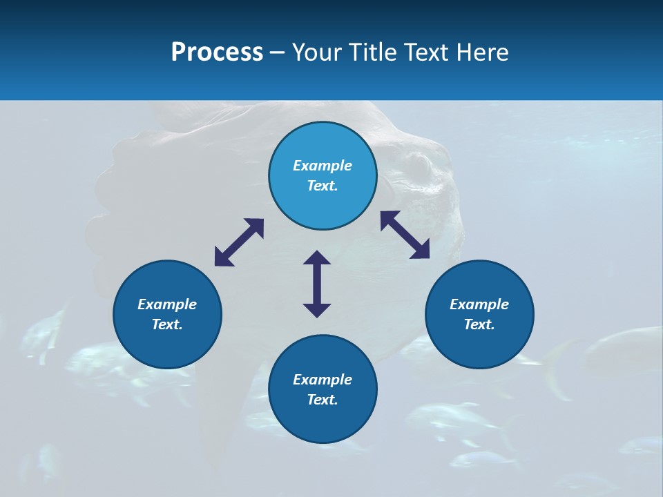 Ocean Portrait Water PowerPoint Template