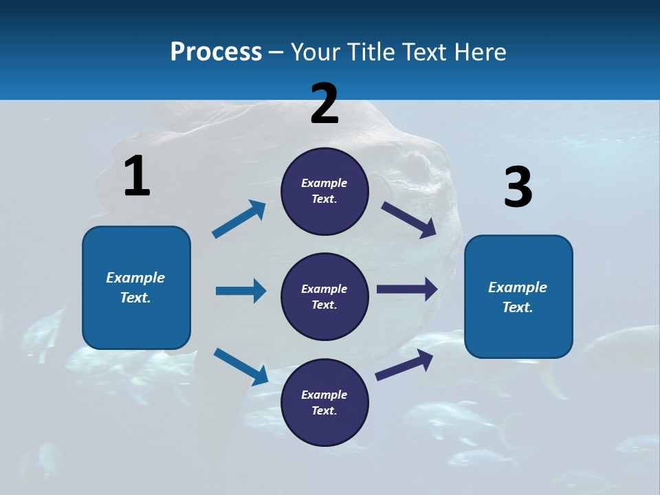 Ocean Portrait Water PowerPoint Template