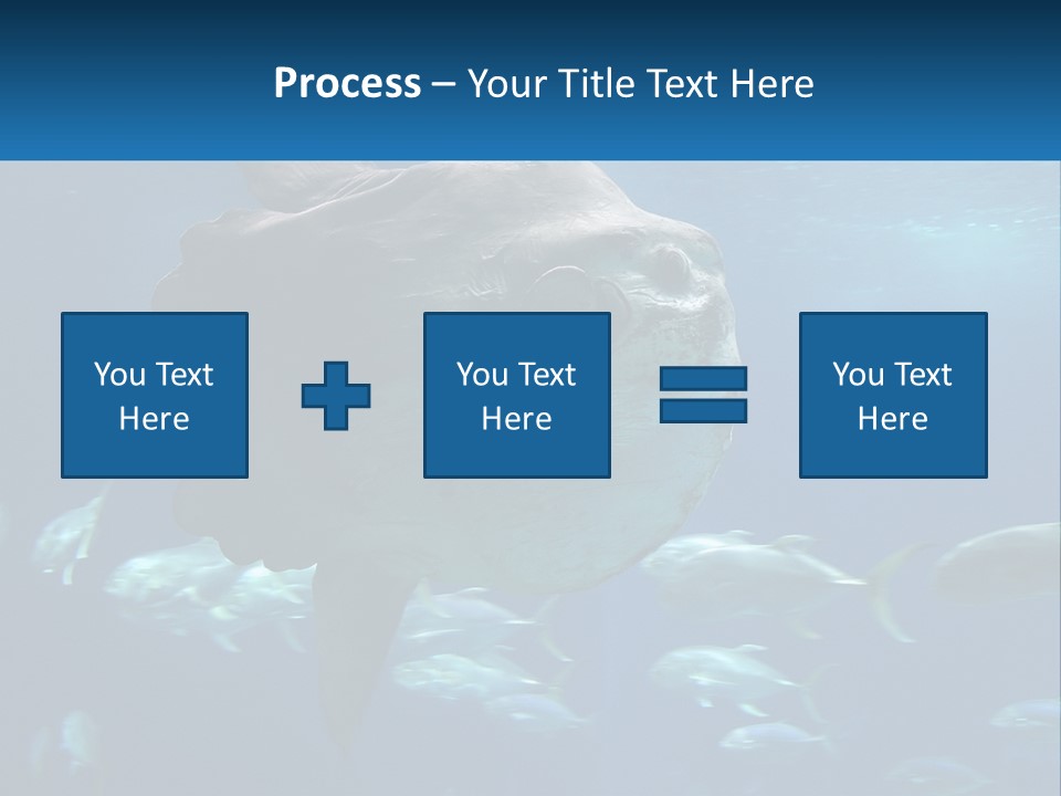 Ocean Portrait Water PowerPoint Template