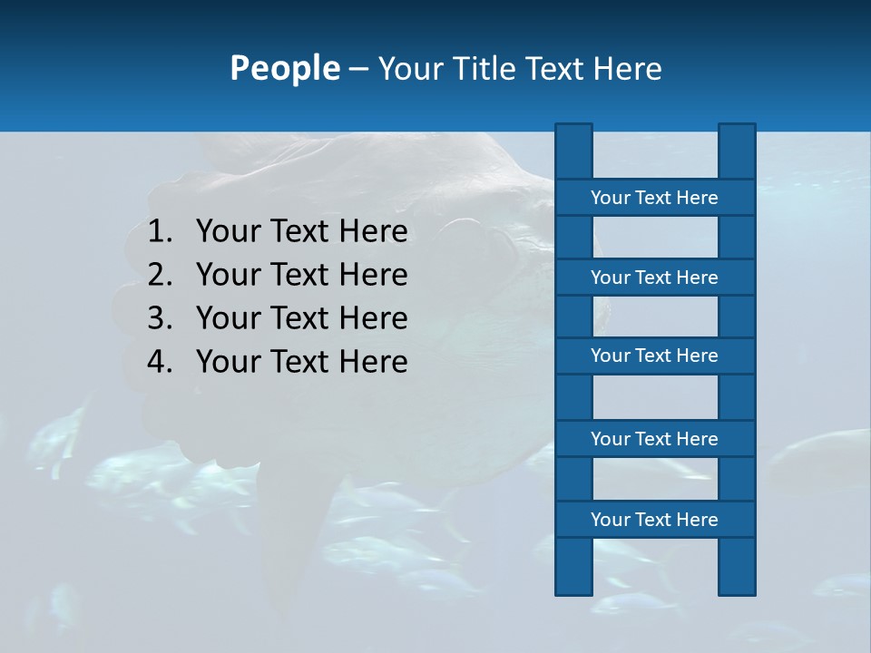 Ocean Portrait Water PowerPoint Template