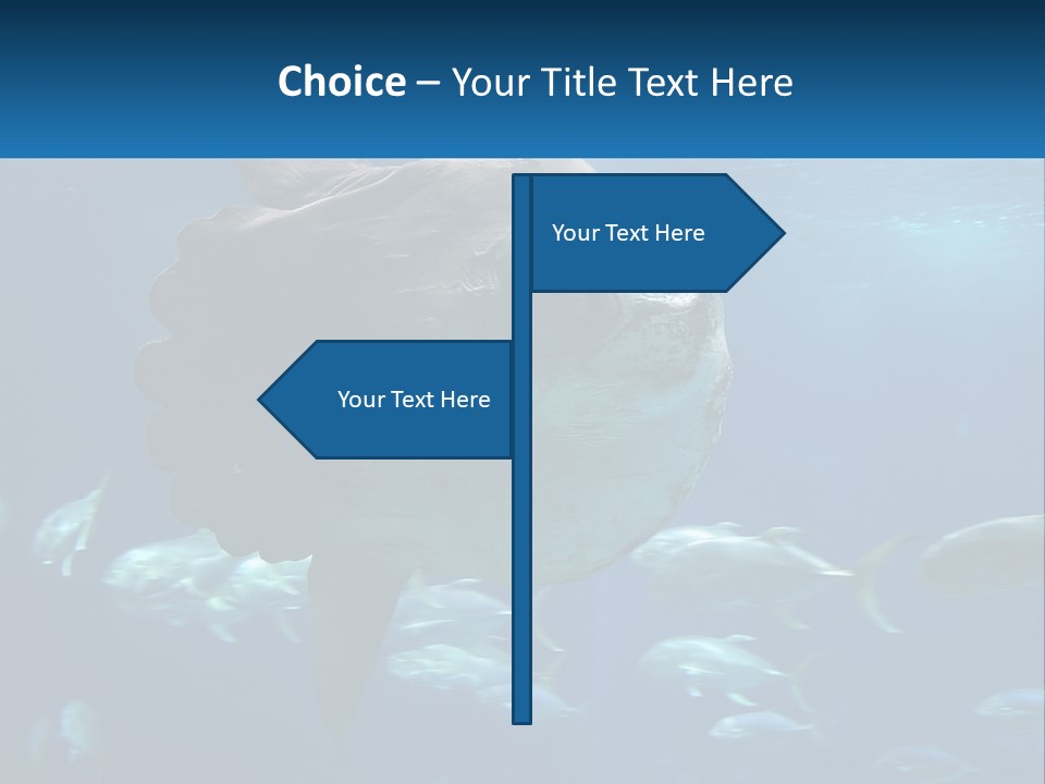 Ocean Portrait Water PowerPoint Template
