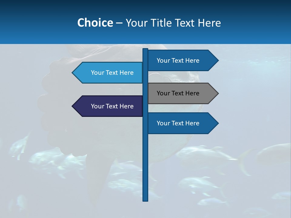 Ocean Portrait Water PowerPoint Template