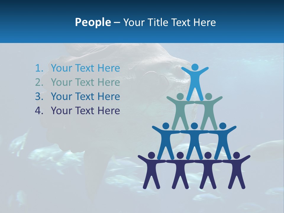 Ocean Portrait Water PowerPoint Template