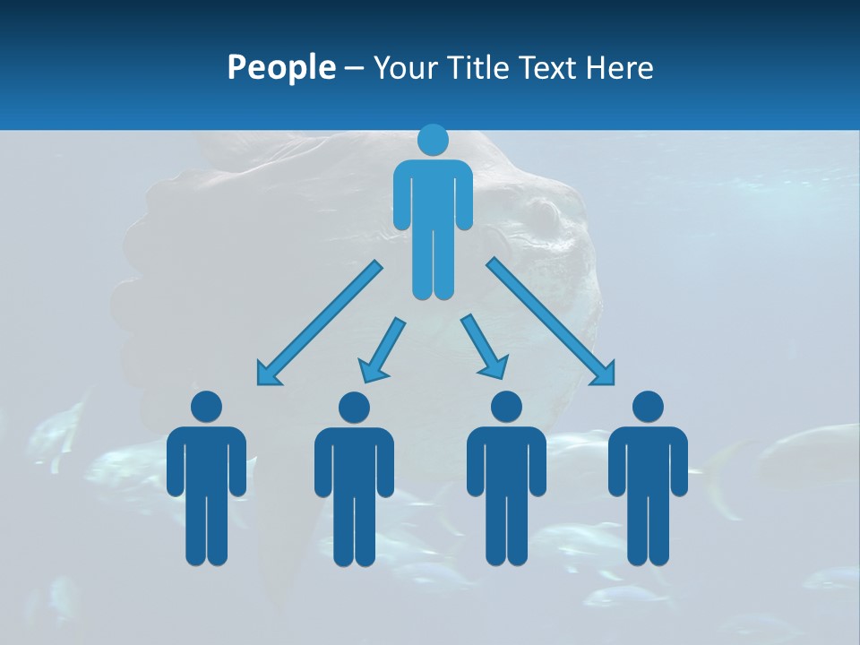 Ocean Portrait Water PowerPoint Template