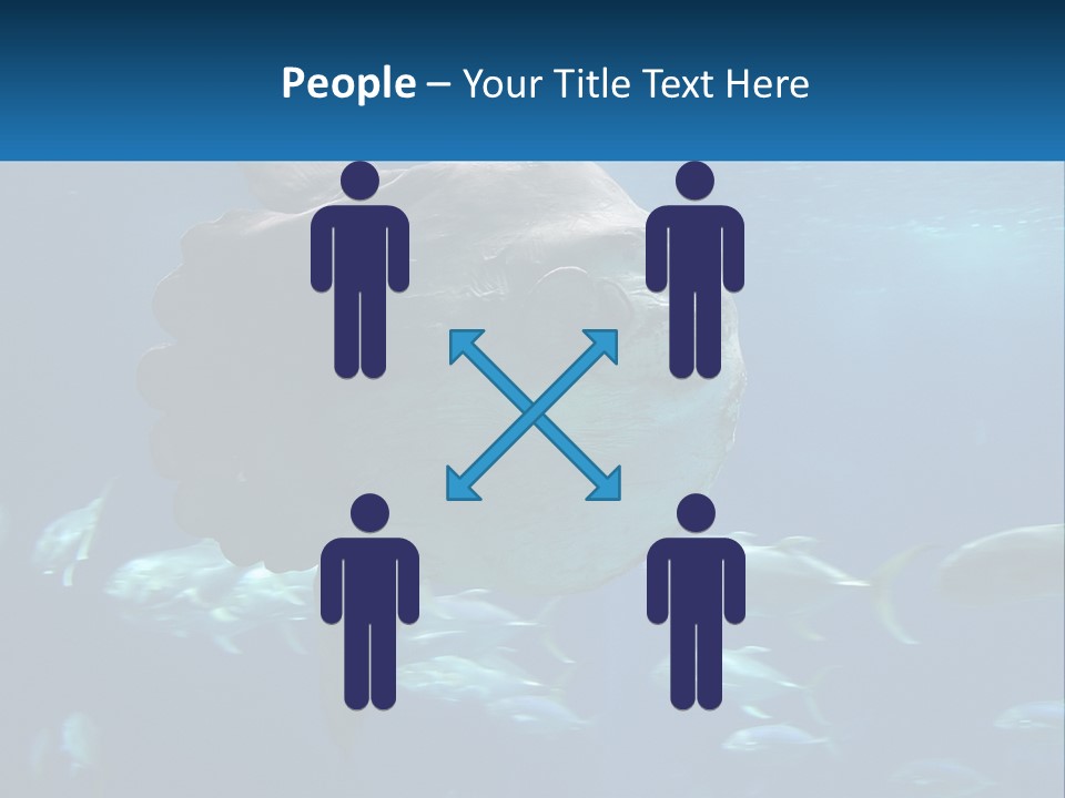 Ocean Portrait Water PowerPoint Template