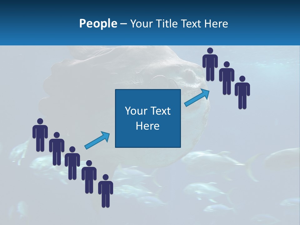 Ocean Portrait Water PowerPoint Template