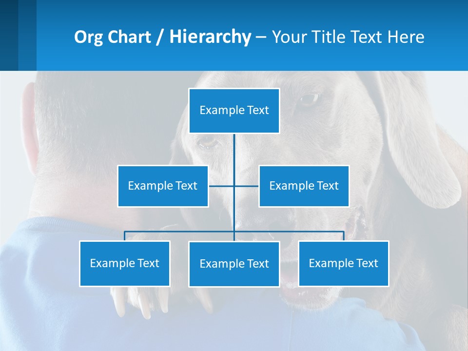 Coastal Ocean Single PowerPoint Template