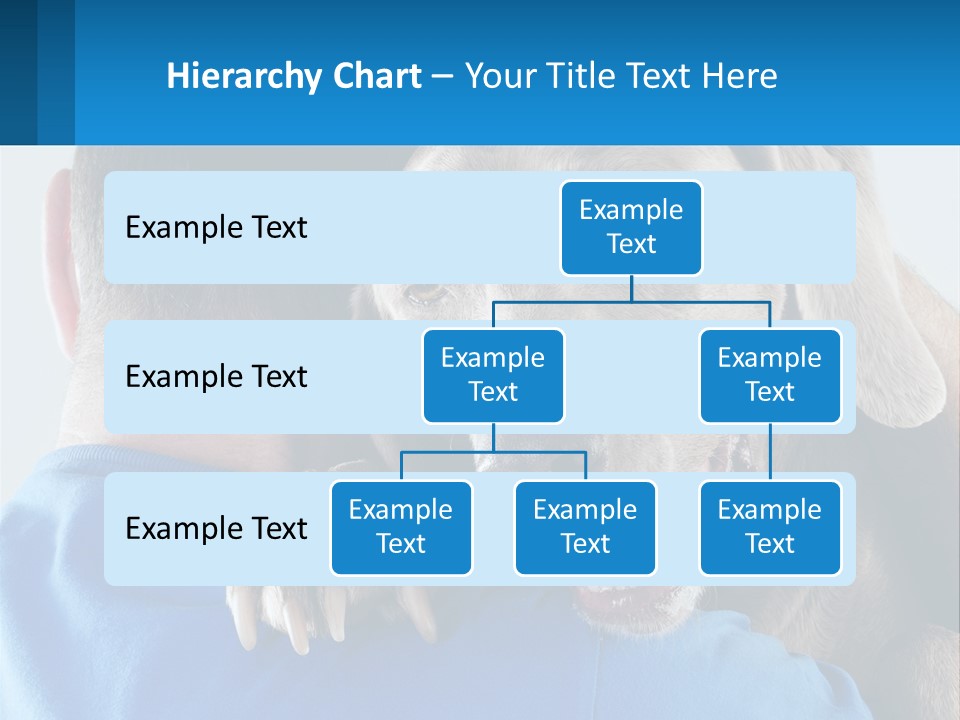 Coastal Ocean Single PowerPoint Template