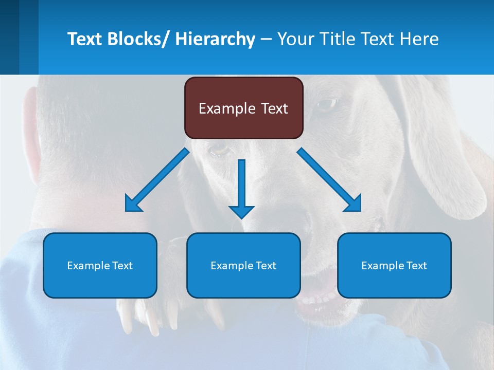Coastal Ocean Single PowerPoint Template