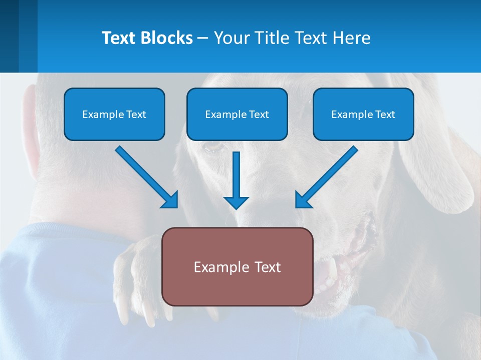 Coastal Ocean Single PowerPoint Template