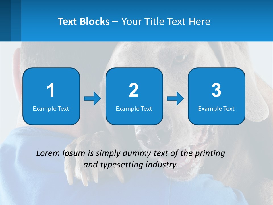 Coastal Ocean Single PowerPoint Template