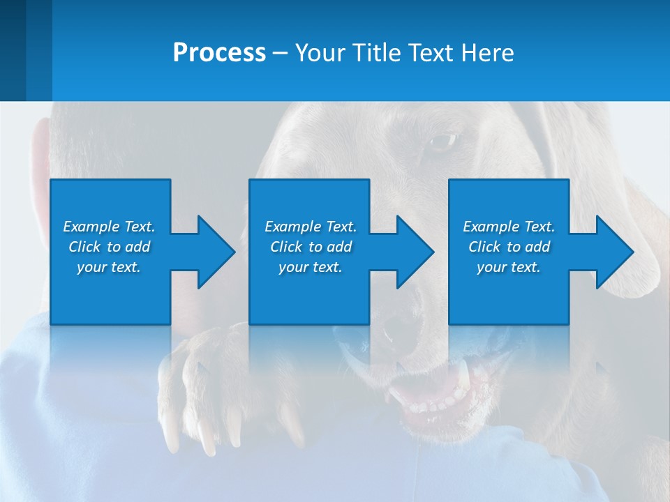 Coastal Ocean Single PowerPoint Template