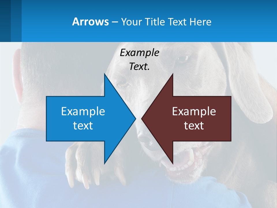 Coastal Ocean Single PowerPoint Template